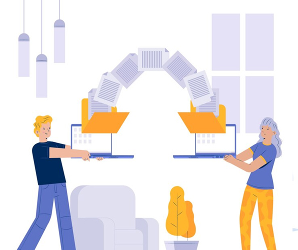 company profile